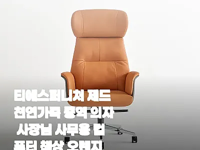 티에스퍼니처 제드 천연가죽 중역 의자 관련 이미지 1